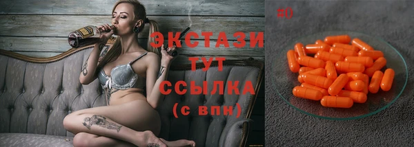 дмт Снежногорск
