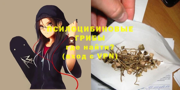 Альфа ПВП Снежинск