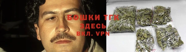 дмт Снежногорск