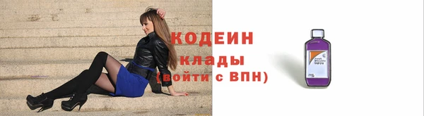дмт Снежногорск