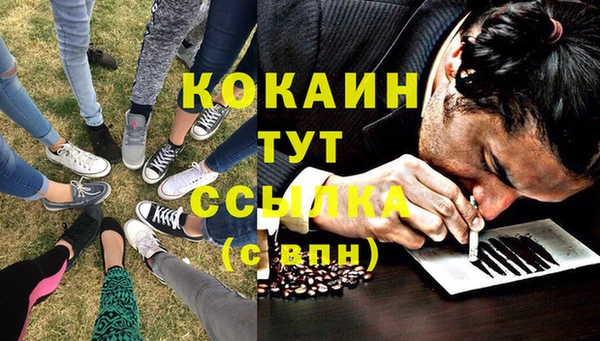 дмт Снежногорск